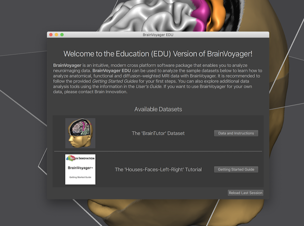 BrainVoyager EDU splash screen