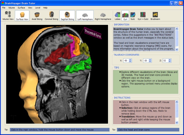 BrainVoyager Brain Tutor 