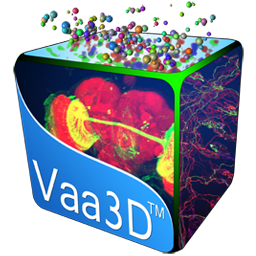 Vaa3D New Log