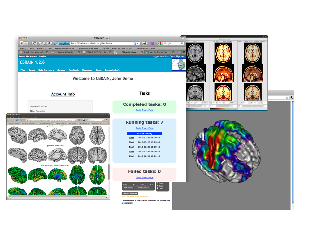 CBRAIN Screenshot 1