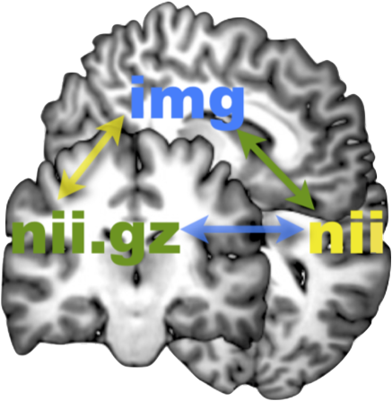 analyze2nifti converter