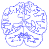 Neuromorphometrics, Inc.