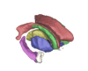 segmentation results