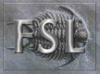 Graphic for FSL